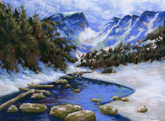 Catherine LaPointe-Vollmer- Tyndall Glacier