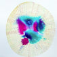 Jocelyn Eleanor Aramburu- Urchin Bloom VI