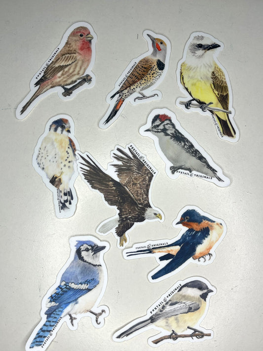 Jessica Schmidtbauer- Original Watercolor Birds Sticker Pack - 9 Unique Designs