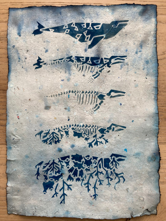 Joelle Cook- Whalefall Cyanotype
