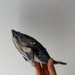 Marisa Goudie- Whale Scoop and Jar