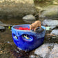 AP Curiosities- Where Rivers Still Run