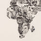 Ali Hassan- Wildlife of the World