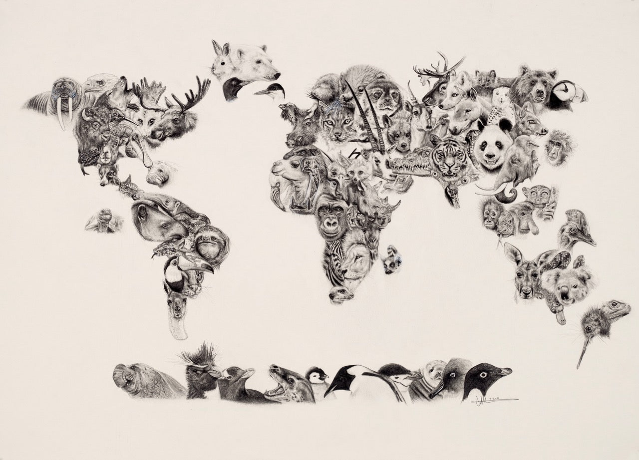 Ali Hassan- Wildlife of the World