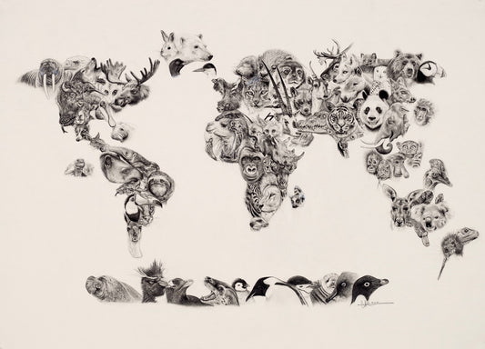 Ali Hassan- Wildlife of the World