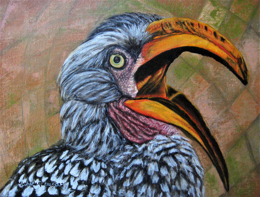 Michelle Gates- Yellow Billed Hornbill