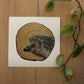 Ali Hassan- Fauna mundial