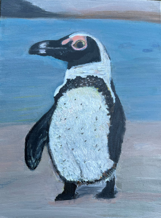 Shannel Hagan- African Penguins in the Wild