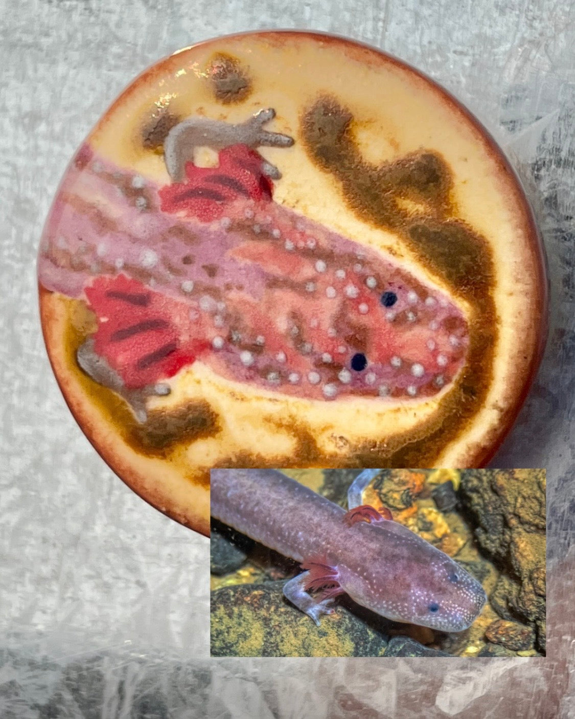 Tess O'Malley- Berry Cave Salamander magnet
