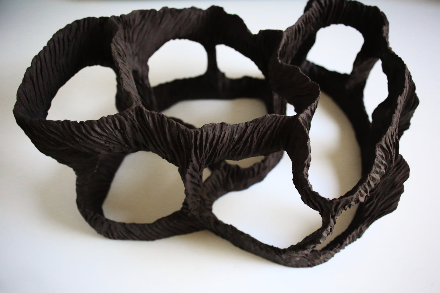 Dreaming Shell- Black Nest / Wall-mounted Ceramic Sculpture