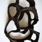 Dreaming Shell- Black Nest / Wall-mounted Ceramic Sculpture