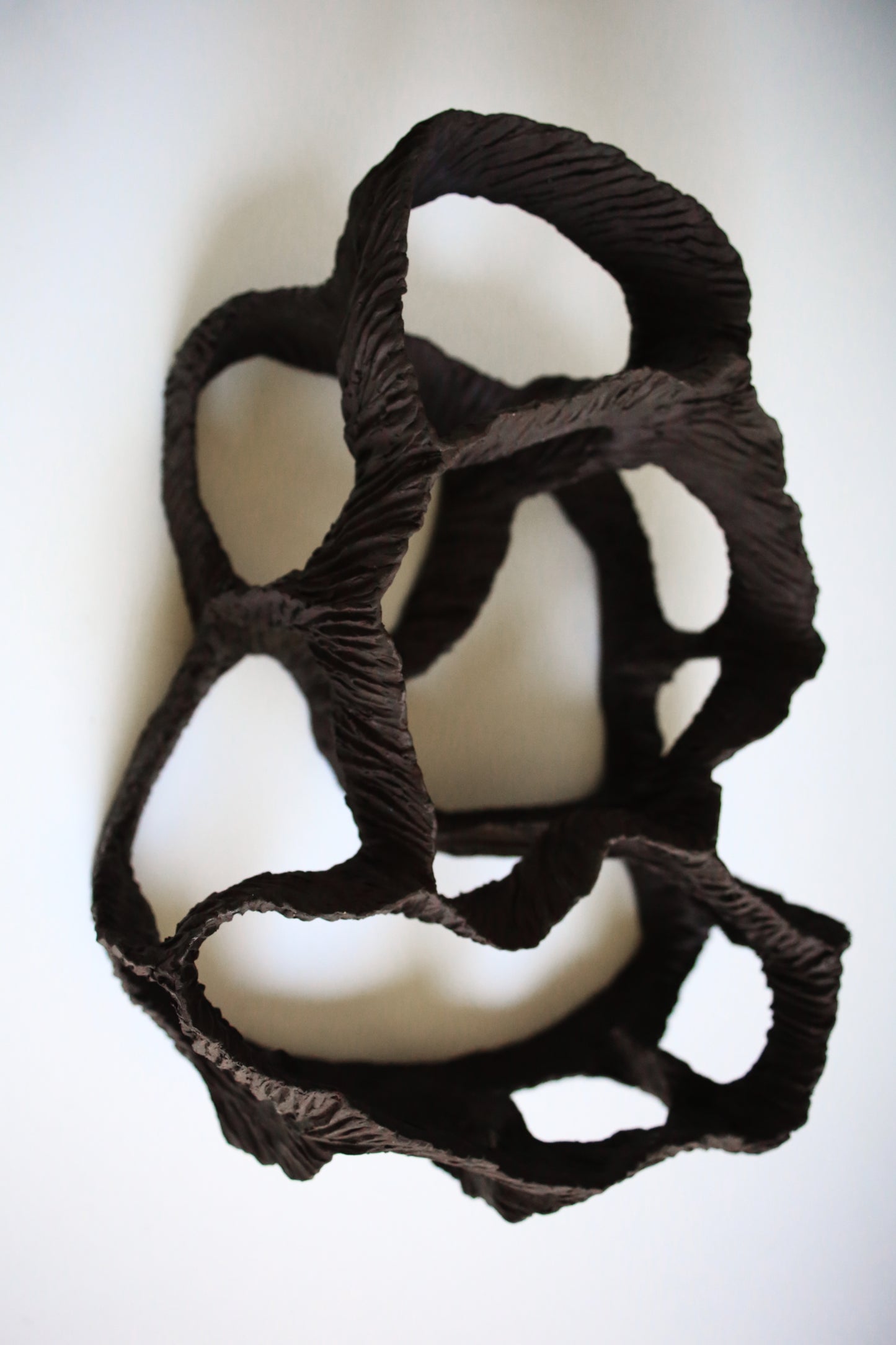 Dreaming Shell- Black Nest / Wall-mounted Ceramic Sculpture