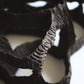 Dreaming Shell- Black Nest / Wall-mounted Ceramic Sculpture
