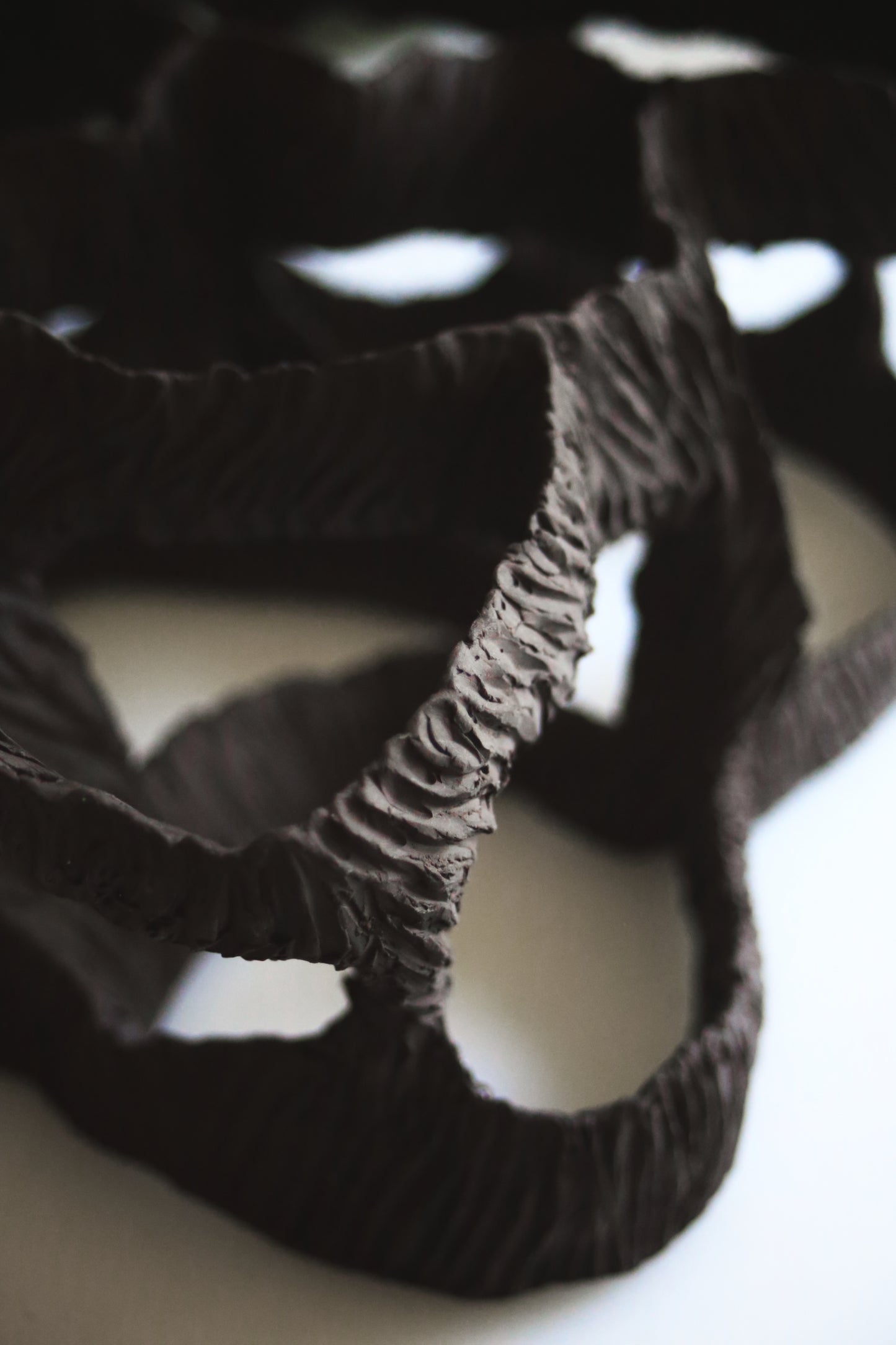 Dreaming Shell- Black Nest / Wall-mounted Ceramic Sculpture