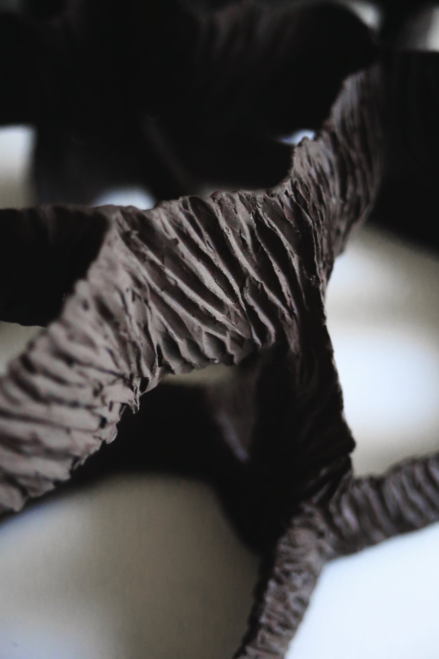 Dreaming Shell- Black Nest / Wall-mounted Ceramic Sculpture