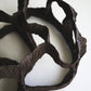 Dreaming Shell- Black Nest / Wall-mounted Ceramic Sculpture