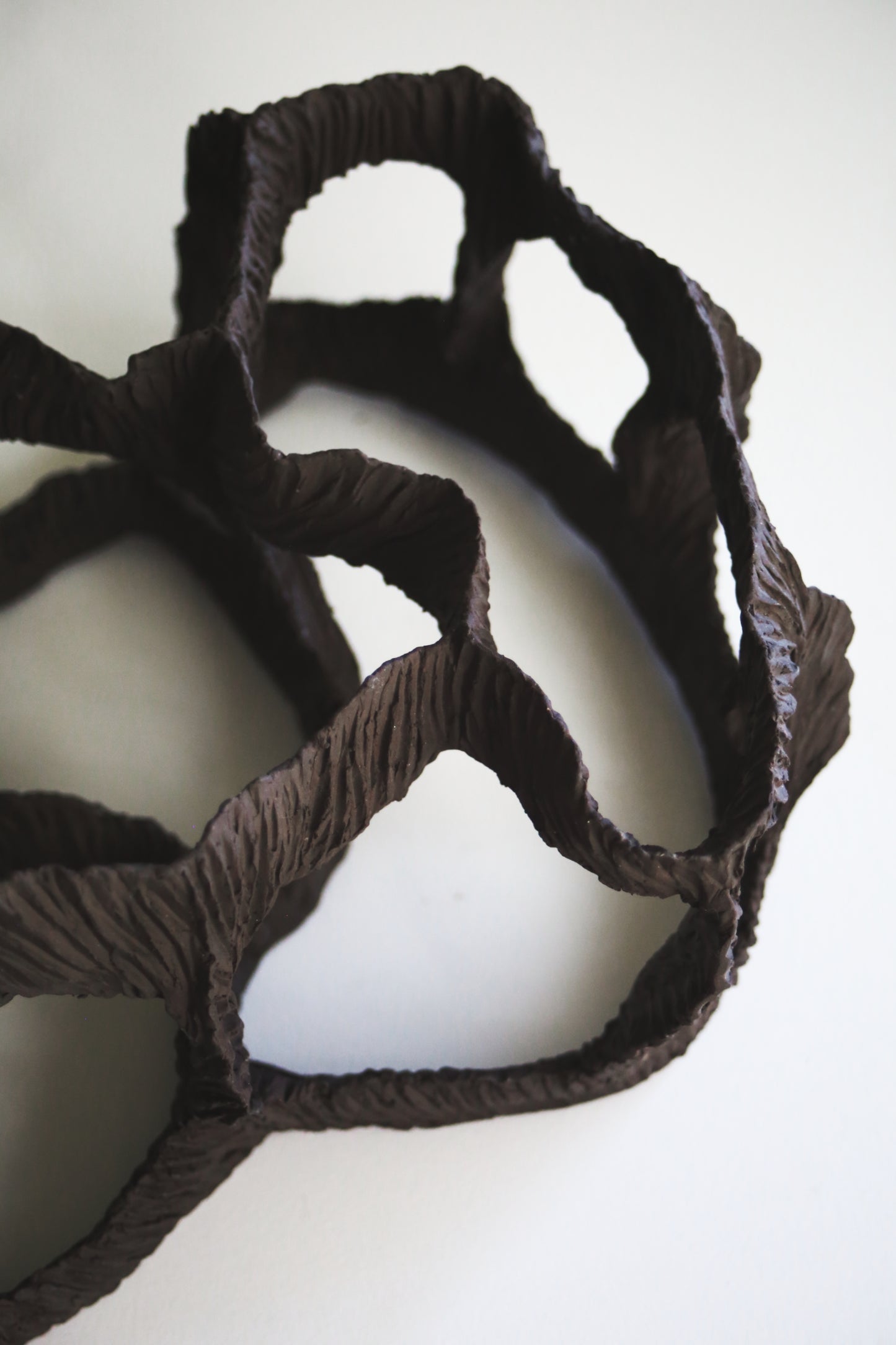 Dreaming Shell- Black Nest / Wall-mounted Ceramic Sculpture