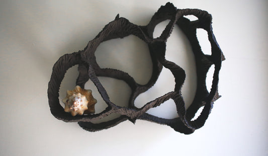 Dreaming Shell- Black Nest / Wall-mounted Ceramic Sculpture