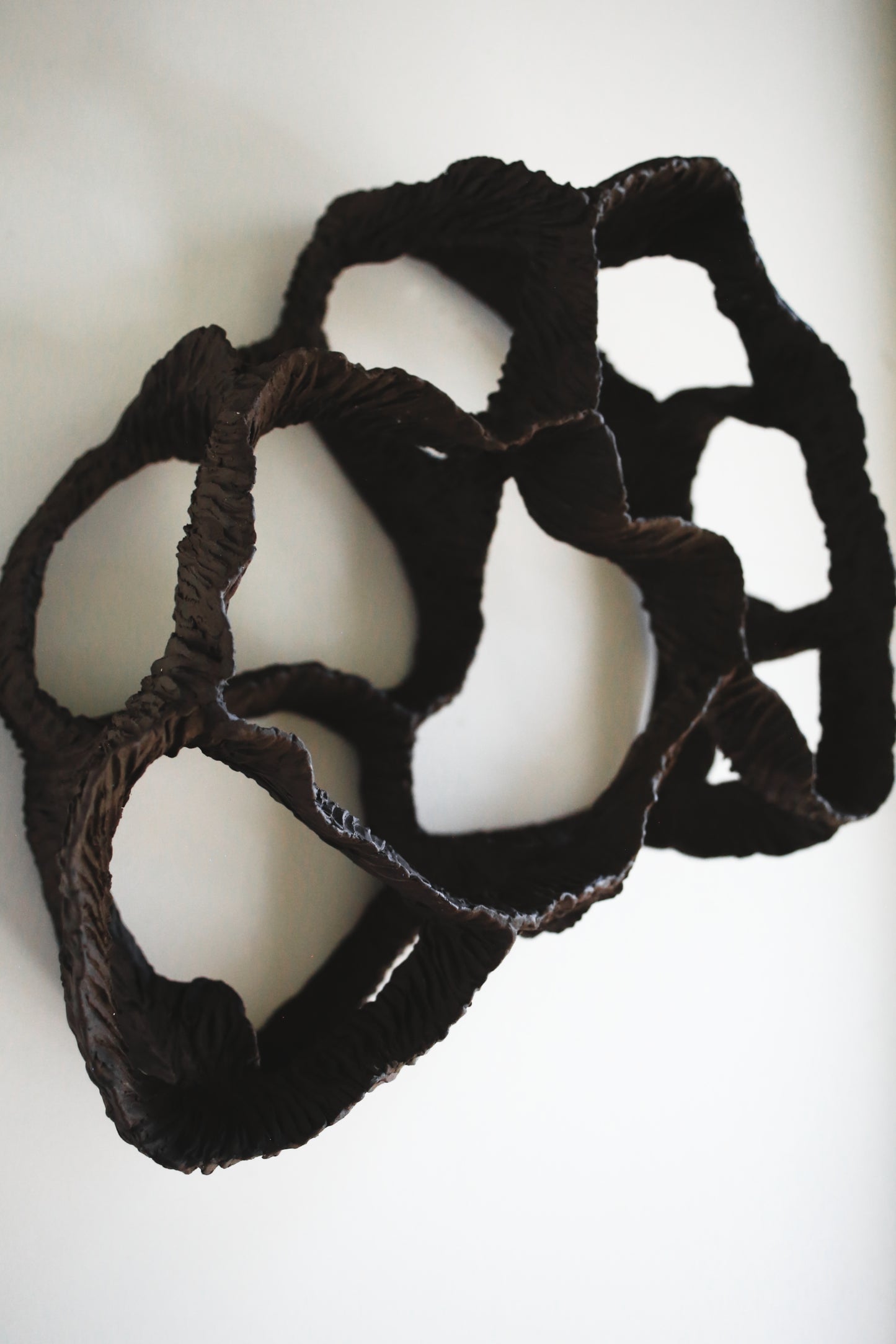 Dreaming Shell- Black Nest / Wall-mounted Ceramic Sculpture