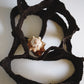 Dreaming Shell- Black Nest / Wall-mounted Ceramic Sculpture