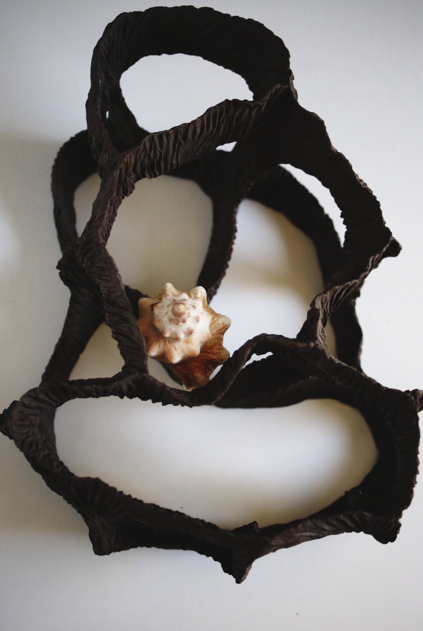 Dreaming Shell- Black Nest / Wall-mounted Ceramic Sculpture