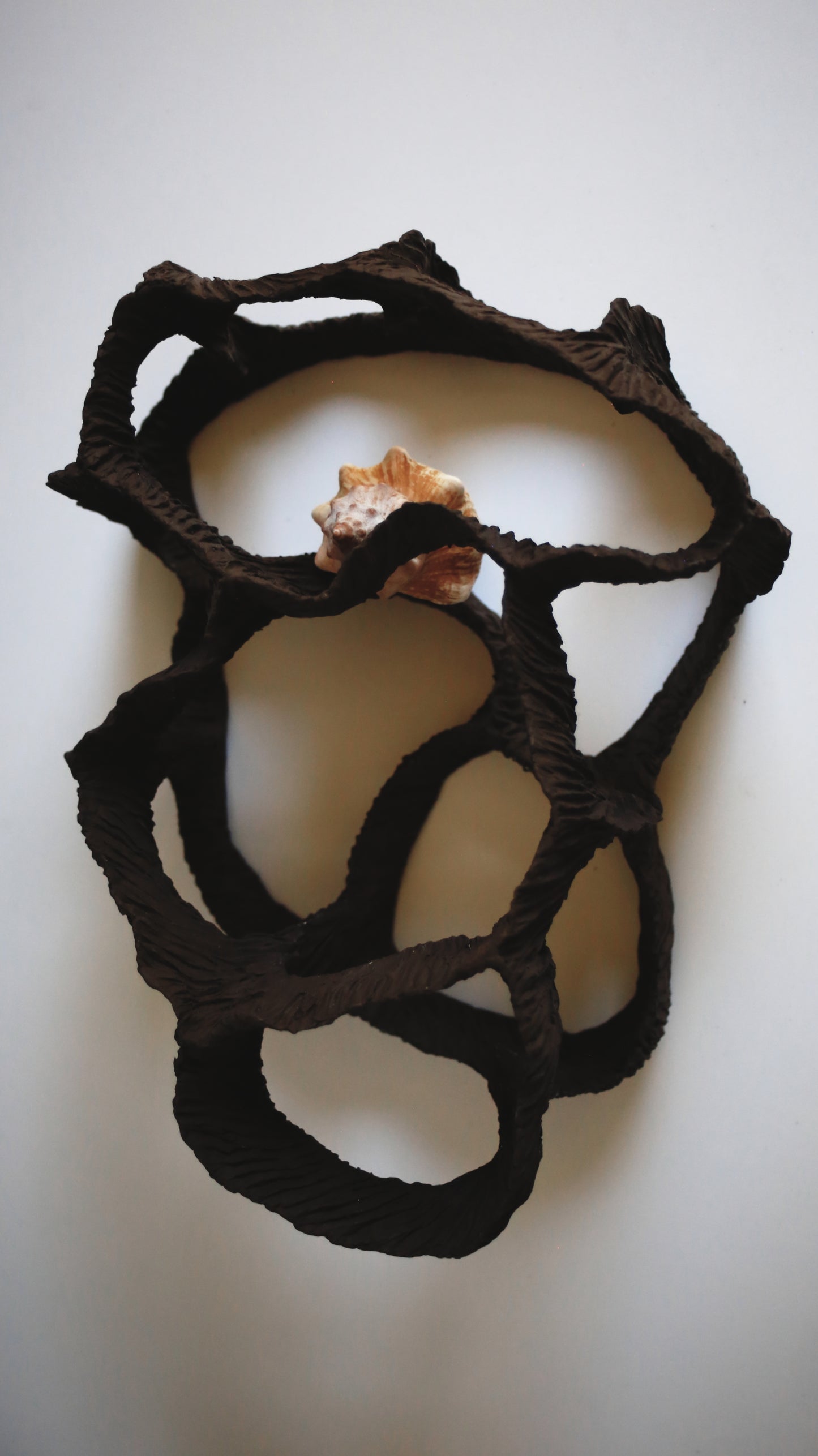 Dreaming Shell- Black Nest / Wall-mounted Ceramic Sculpture