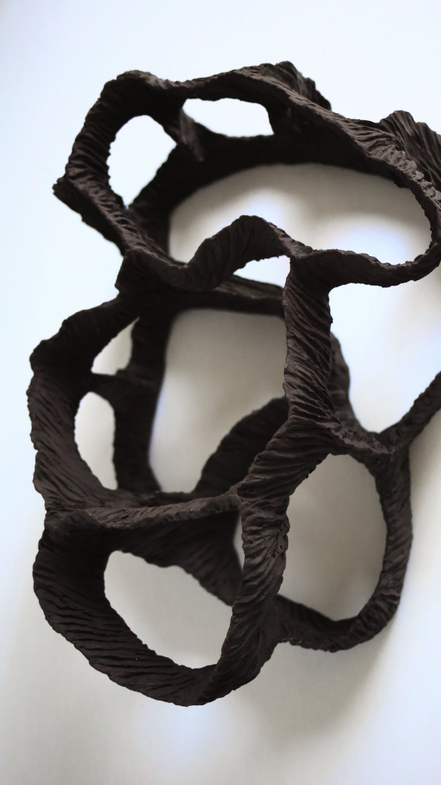 Dreaming Shell- Black Nest / Wall-mounted Ceramic Sculpture