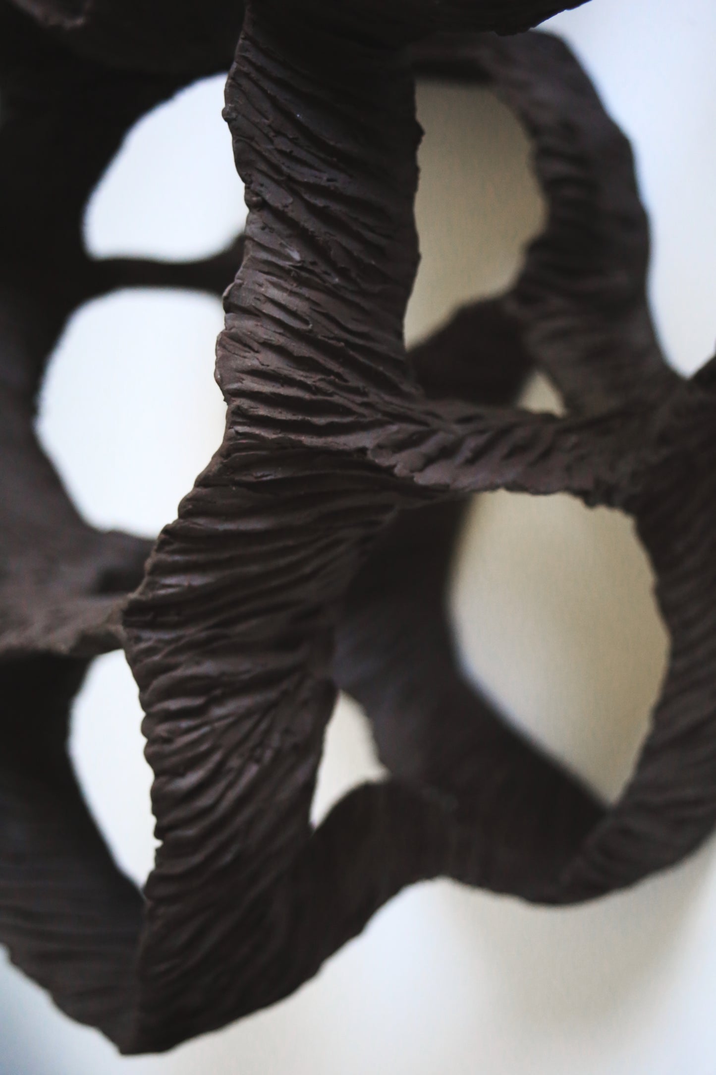 Dreaming Shell- Black Nest / Wall-mounted Ceramic Sculpture