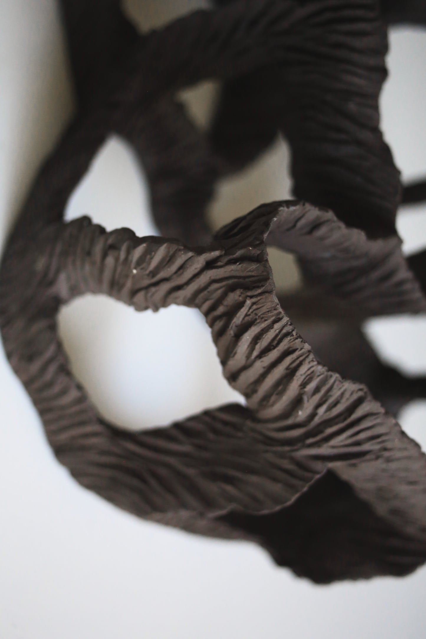 Dreaming Shell- Black Nest / Wall-mounted Ceramic Sculpture