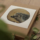 Ali Hassan- Fauna mundial