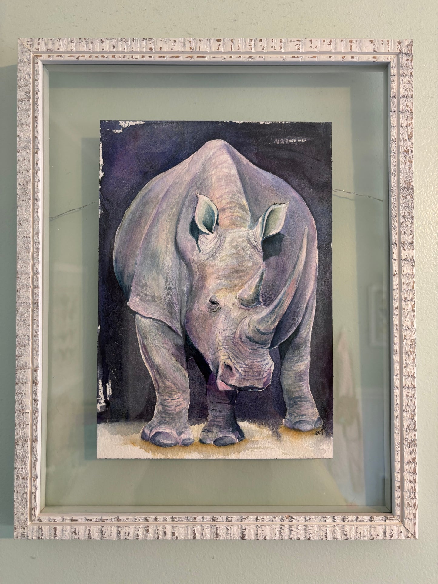 Sara Heslop- Rhino