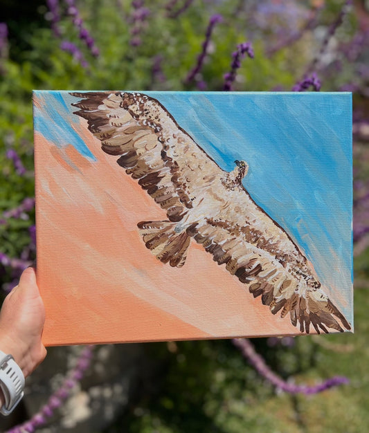 Amanda Craig- The Flying Osprey