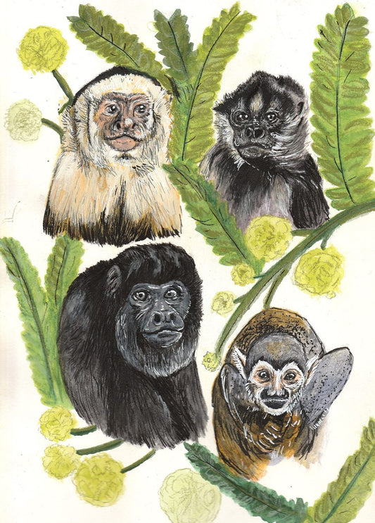 Teresa Clark- Monkeys of Costa Rica