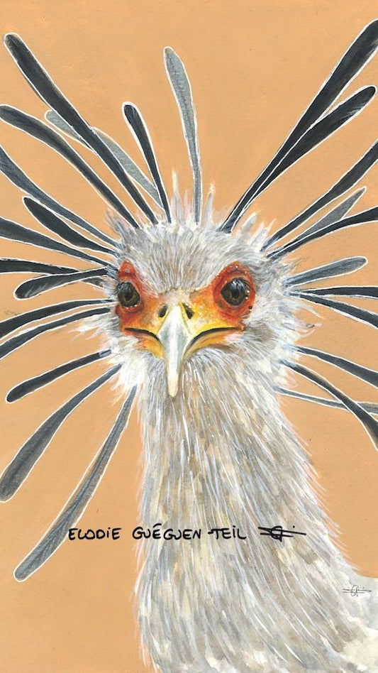 Elodie Guéguen-Teil- Secretarybird (Sagittarius serpentarius)