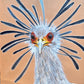 Elodie Guéguen-Teil- Secretarybird (Sagittarius serpentarius)