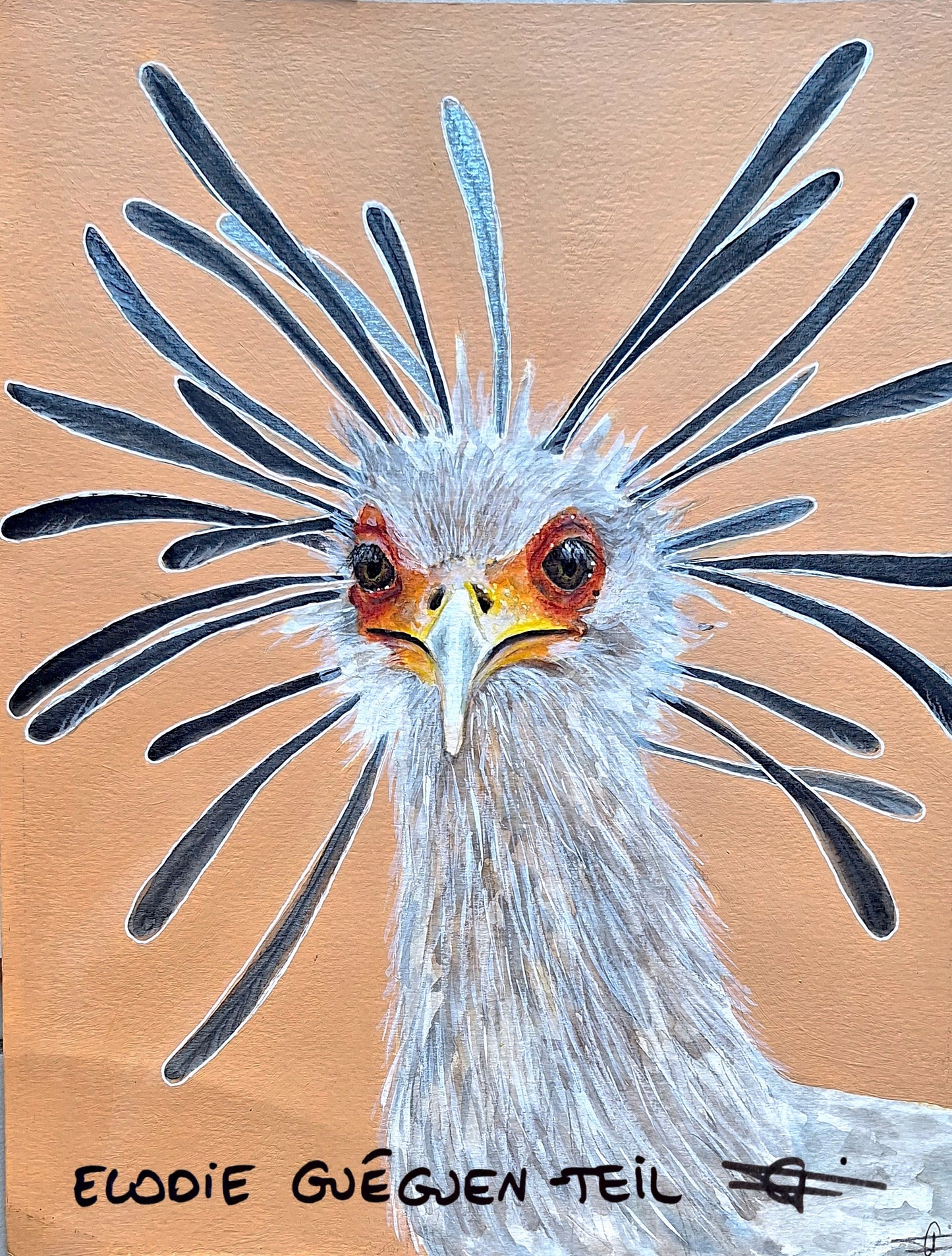 Elodie Guéguen-Teil- Secretarybird (Sagittarius serpentarius)