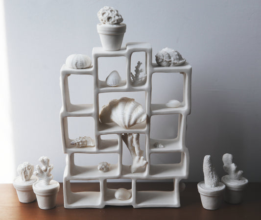 Dreaming Shell- Trompe l'oeil / Porcelain Curiosity Cabinet