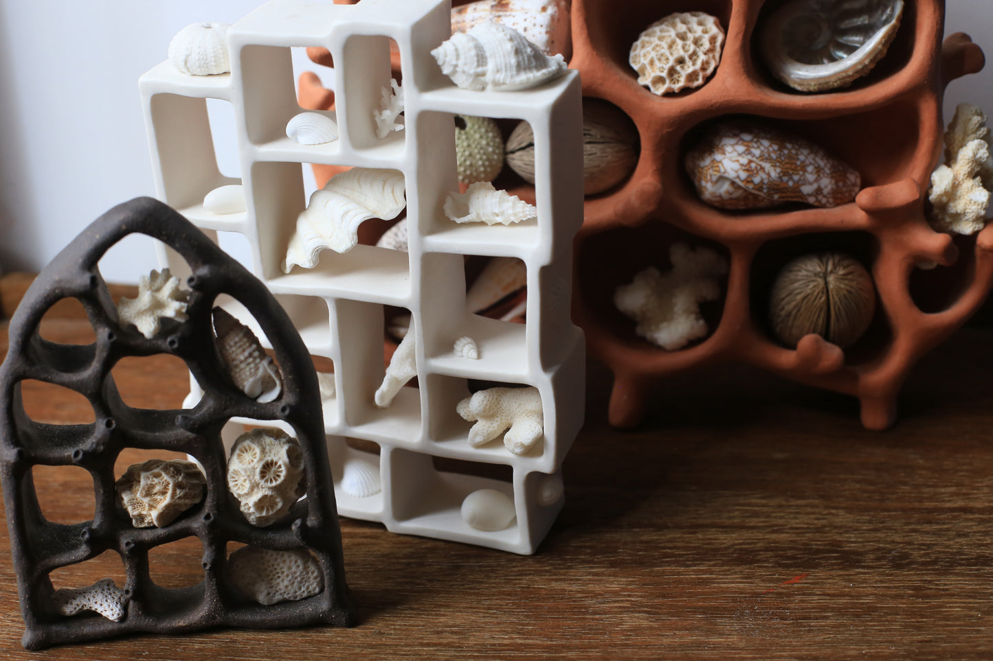 Dreaming Shell- The View / Black Clay Ceramic Curiosity Cabinet