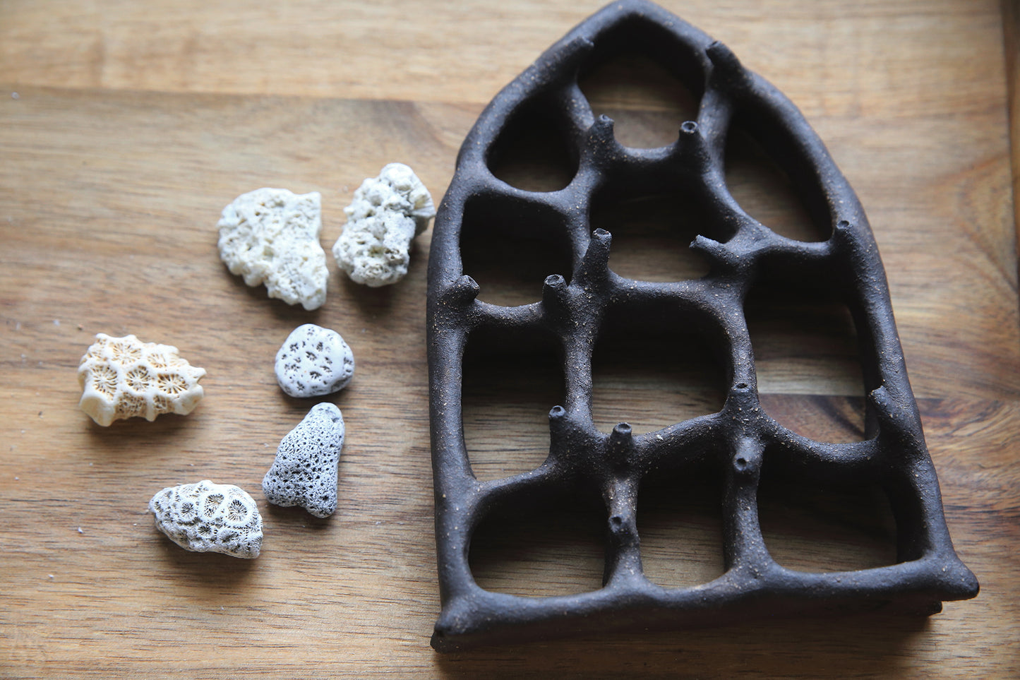 Dreaming Shell- The View / Black Clay Ceramic Curiosity Cabinet