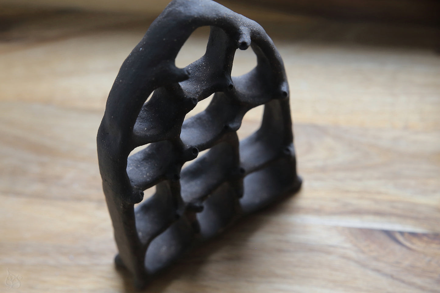 Dreaming Shell- The View / Black Clay Ceramic Curiosity Cabinet