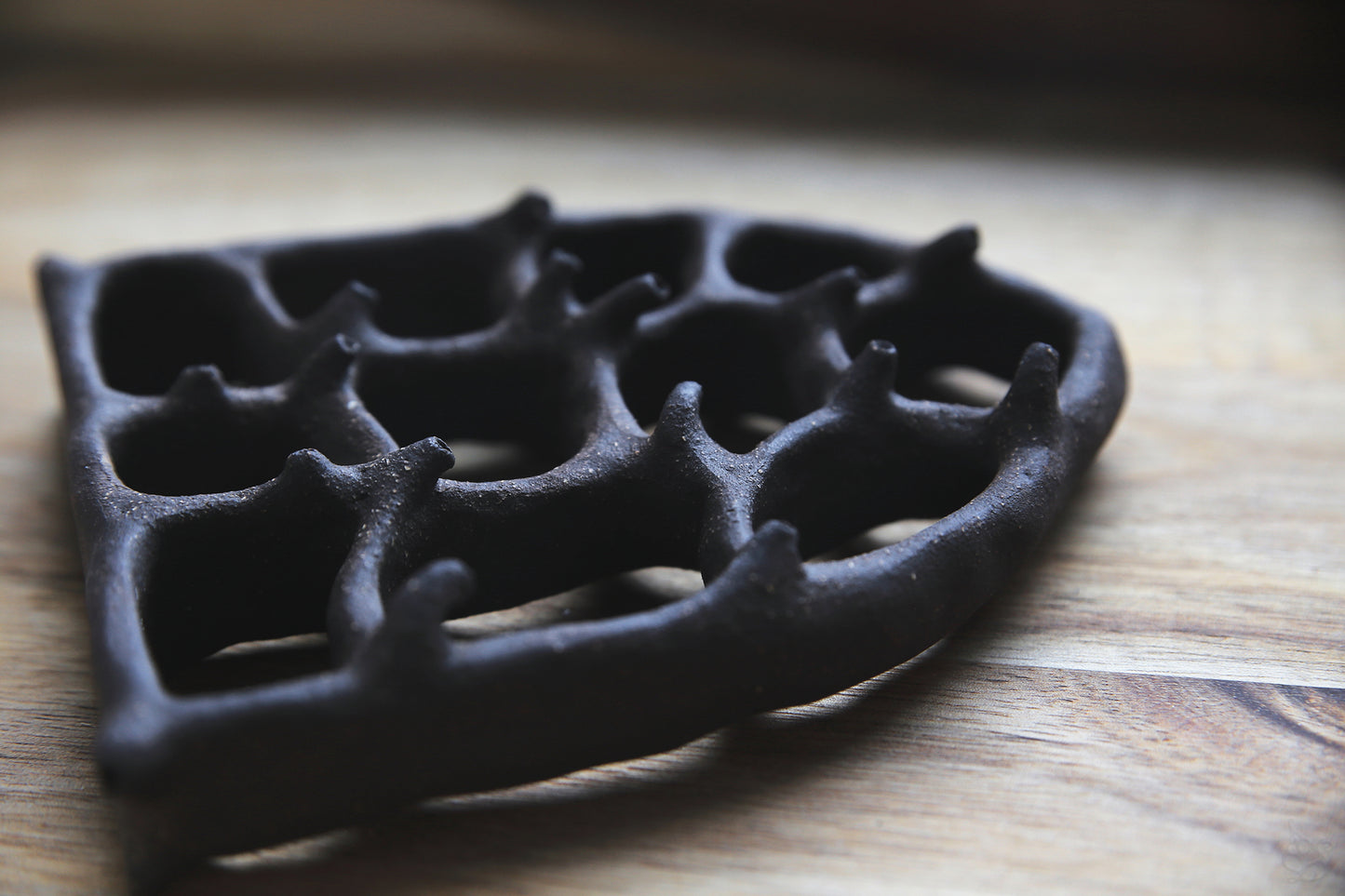 Dreaming Shell- The View / Black Clay Ceramic Curiosity Cabinet