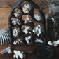 Dreaming Shell- The View / Black Clay Ceramic Curiosity Cabinet
