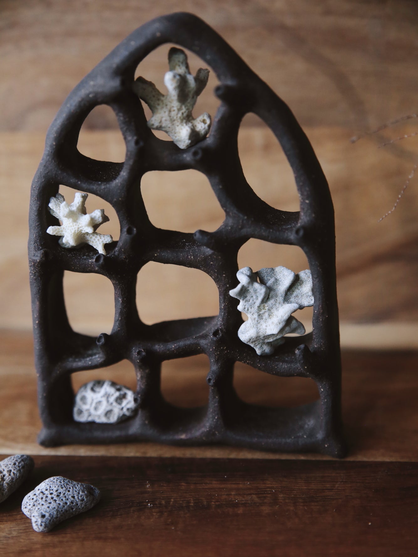 Dreaming Shell- The View / Black Clay Ceramic Curiosity Cabinet