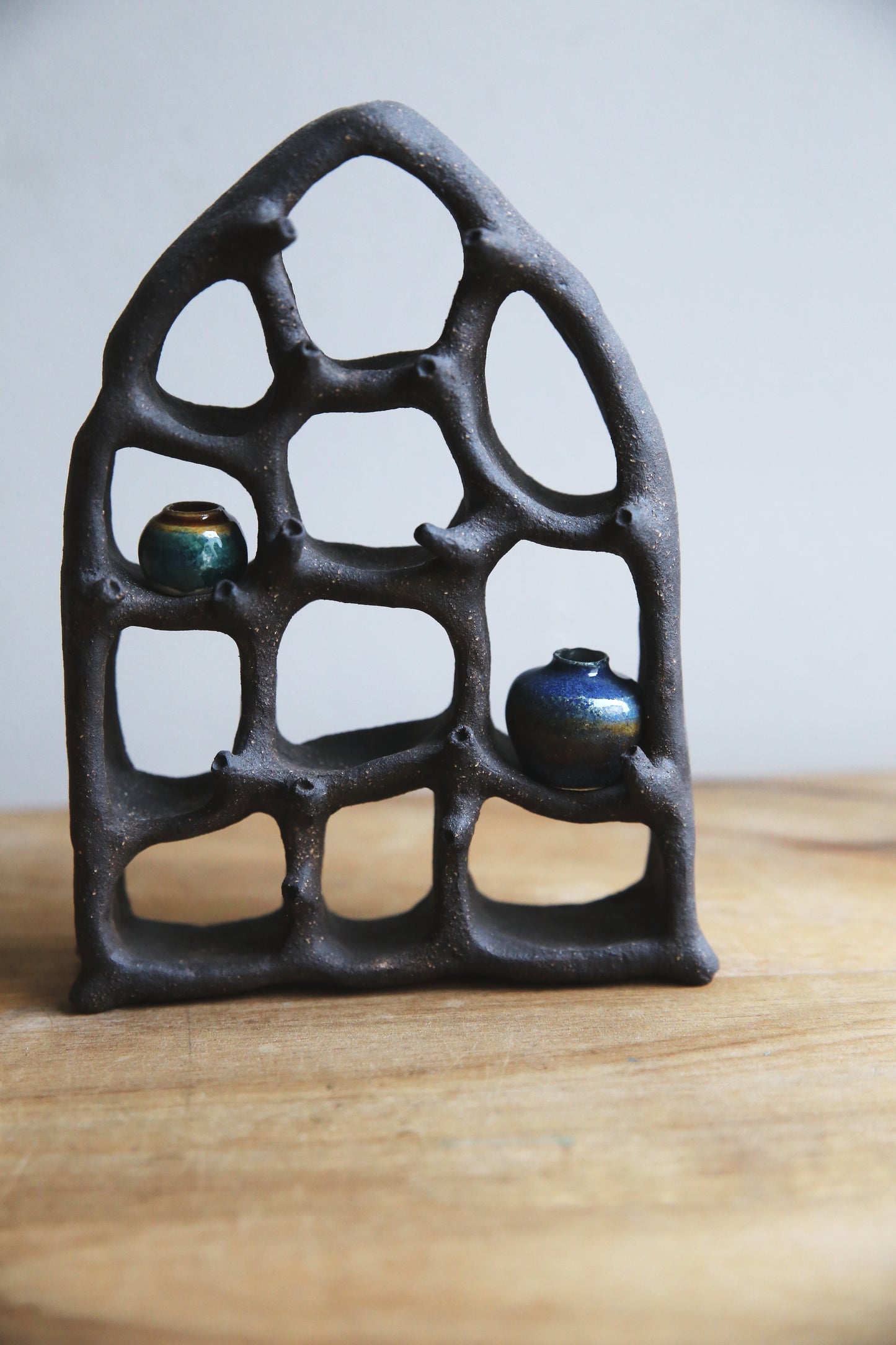 Dreaming Shell- The View / Black Clay Ceramic Curiosity Cabinet